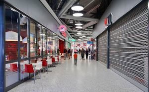 Roller shutter doors